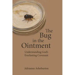The Bug in the Ointment: Understanding God's everlasting covenant through a survey of the historical background of the Biblical covenants.
