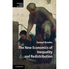 The New Economics of Inequality and Redistribution