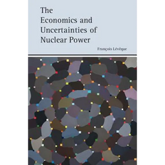 The Economics and Uncertainties of Nuclear Power