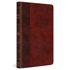 ESV Large Print Thinline Bible (Trutone, Burgundy/Red, Timeless Design)
