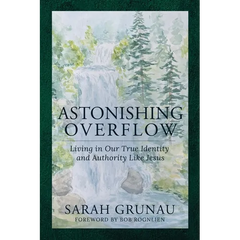 Astonishing Overflow: Living in Our True Identity and Authority Like Jesus