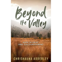 Beyond the Valley