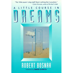 A Little Course in Dreams
