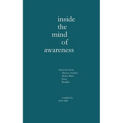Inside the Mind of Awareness