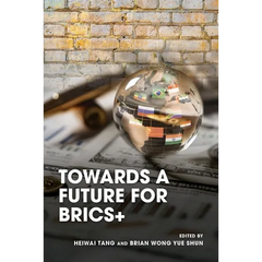 Towards a Future for BRICS+