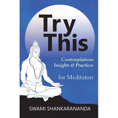 Try This: Contemplations Insights & Practices for Meditators: Contemplations Insights & Practices: Contemplations and Practices for Meditators