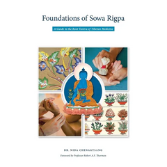 Foundations of Sowa Rigpa: A Guide to the Root Tantra of Tibetan Medicine