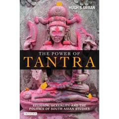 The Power of Tantra: Religion, Sexuality, and the Politics of South Asian Studies