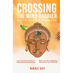 Crossing The Mind Barrier
