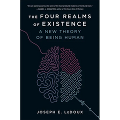 The Four Realms of Existence: A New Theory of Being Human