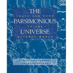 The Parsimonious Universe: Shape and Form in the Natural World