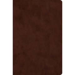 ESV Compact Bible, Red Letter (Trutone, Brown)