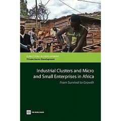 Industrial Clusters and Micro and Small Enterprises in Africa: From Survival to Growth