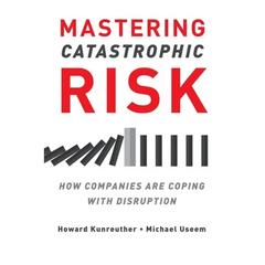 Mastering Catastrophic Risk: How Companies Are Coping With Disruption
