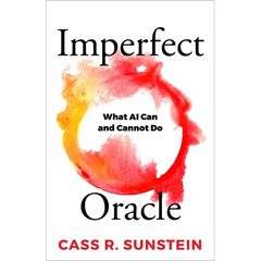 Imperfect Oracle: What AI Can and Cannot Do