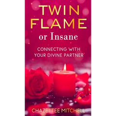 Twin Flame Or Insane: Connecting With Your Divine Partner