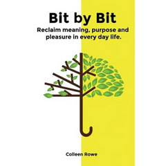 Bit by Bit: reclaim meaning, purpose and pleasure in everyday life