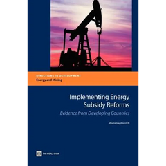 Implementing Energy Subsidy Reforms