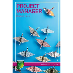 Project Manager: Careers in IT project management