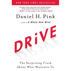 Drive: The Surprising Truth about What Motivates Us