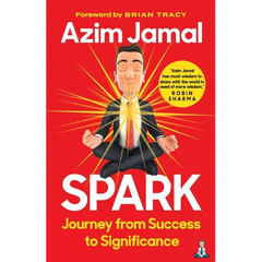 Spark: Journey from Success to Significance