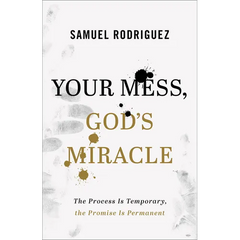 Your Mess, God's Miracle: The Process Is Temporary, the Promise Is Permanent