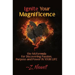 Ignite Your Magnificence: the MQformula or Discovering Passion, Purpose and Power IN YOUR LIFE
