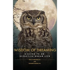 Wisdom of Dreaming: A guide to an effective dream life