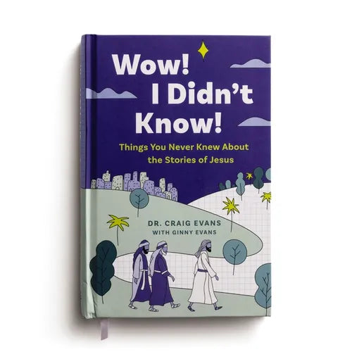Wow! I Didn't Know! Things You Never Knew about the Stories of Jesus