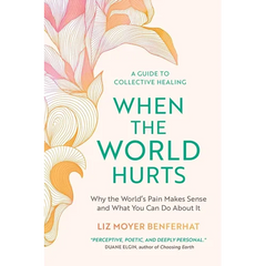 When the World Hurts: Why the World's Pain Makes Sense-and What You Can Do About It