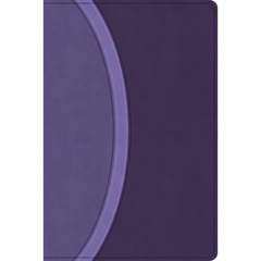 CSB Rainbow Study Bible, Purple Leathertouch (Limited Edition)