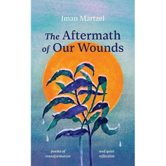 The Aftermath of Our Wounds: poems of transformation and quiet reflection