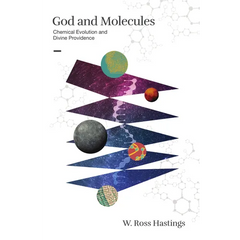 God and Molecules: Chemical Evolution and Divine Providence