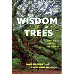 The Wisdom of Trees: Thinking Through Arboreality
