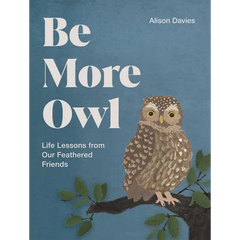 Be More Owl: Life Lessons from Our Feathered Friends