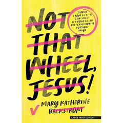 Not That Wheel, Jesus!: Stories from a Faith That Went Off-Road in the Best (and Worst) Possible Ways
