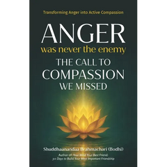 Anger Was Never the Enemy: The Call to Compassion We Missed
