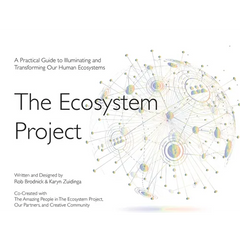 The Ecosystem Project: A Practical Guide to Illuminating and Transforming Our Human Ecosystems