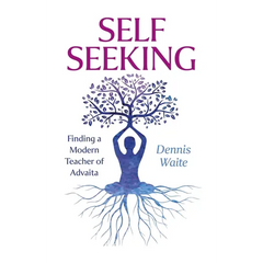 Self Seeking: Finding a Modern Teacher of Advaita