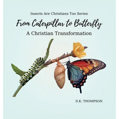 From Caterpillar to Butterfly: A Christian Transformation