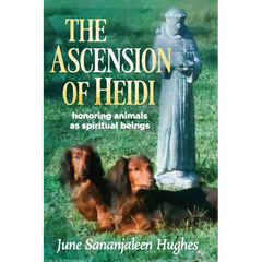 The Ascension of Heidi: A Longhaired Dachshund