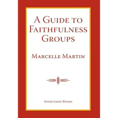 A Guide To Faithfulness Groups