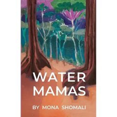Water Mamas: A Novel of Climate, Spirituality, and Indigenous Human Rights