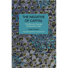 The Negative of Capital