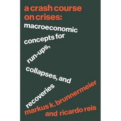 A Crash Course on Crises: Macroeconomic Concepts for Run-Ups, Collapses, and Recoveries