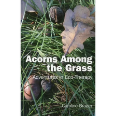 Acorns Among the Grass