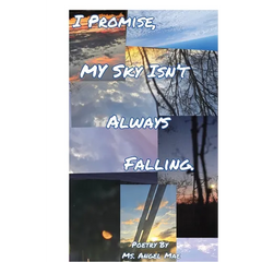 I Promise My Sky Isn't Always Falling