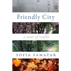 Friendly City: A Year of Walks