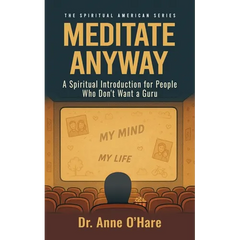 Meditate Anyway: A Spiritual Introduction for People Who Don't Want a Guru