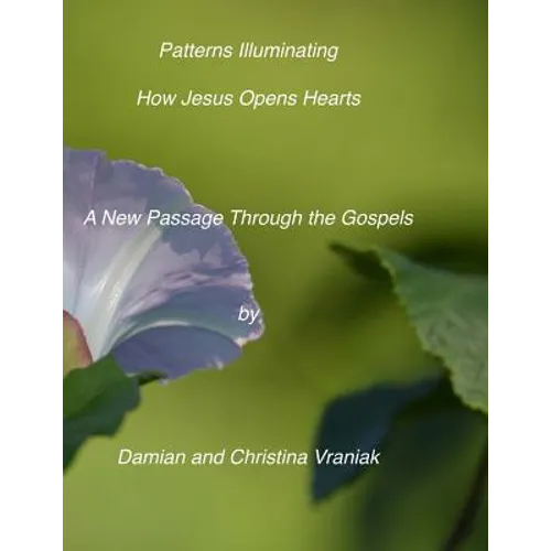 Patterns Illuminating How Jesus Opens the Heart: : A New Passage Through the Gospels